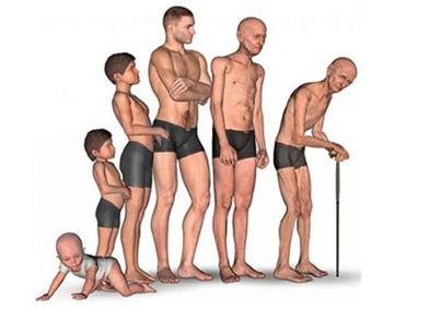 How to battle age-related muscle loss as we grow older?